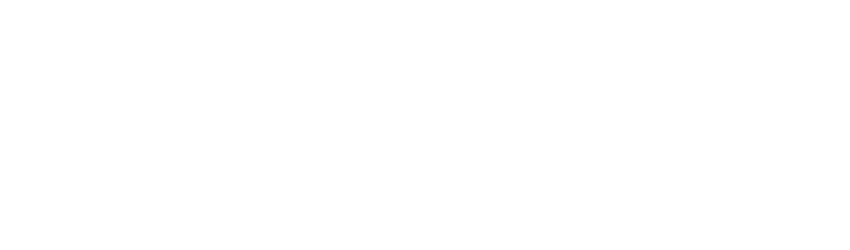 Pizzpollo